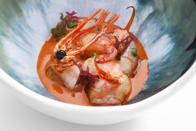 BoB-RocaBrothers-EsperitRoca8