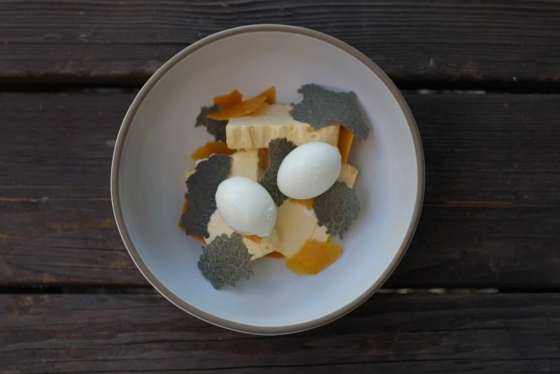 BPC23-Maribel-COPY-semifredo