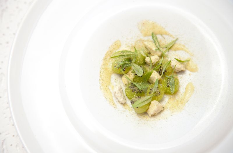 LATAM50BR24-BPC-kiwi y rica rica