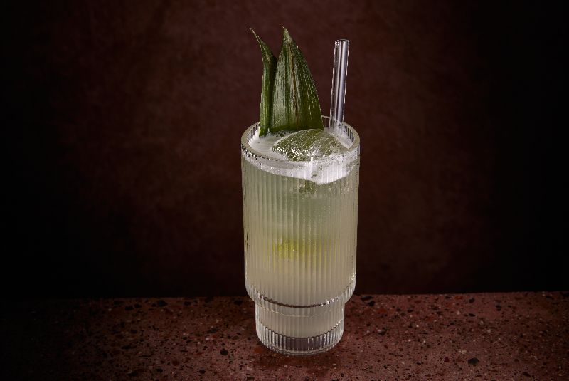 PulqueColada_NA50BB25-Altos-bb