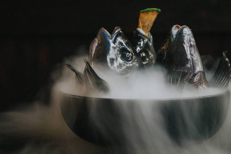 W50BR25 - Amisfield Restaurant - 51-100