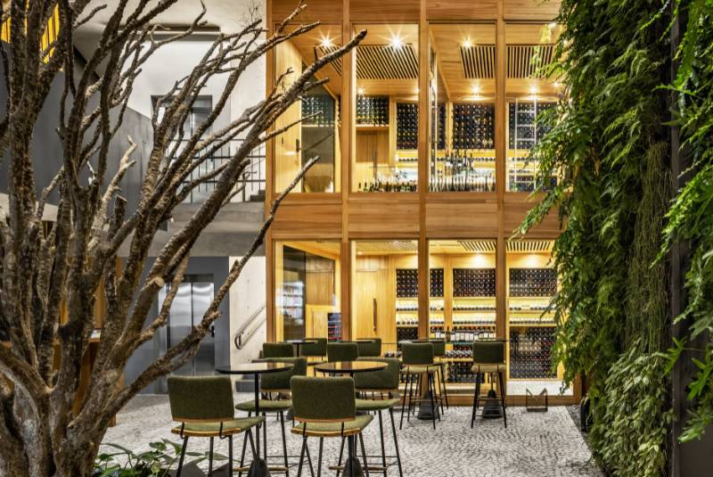 W50BR25 - Tuju - 51-100